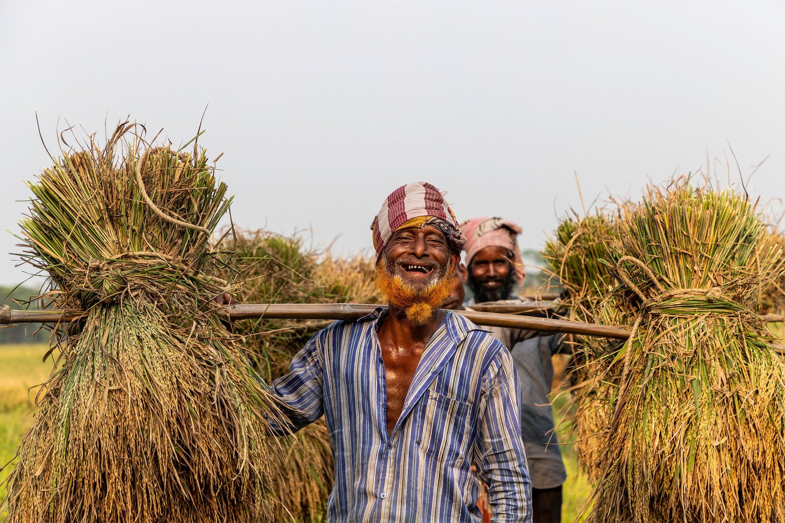 কৃষি লোন
